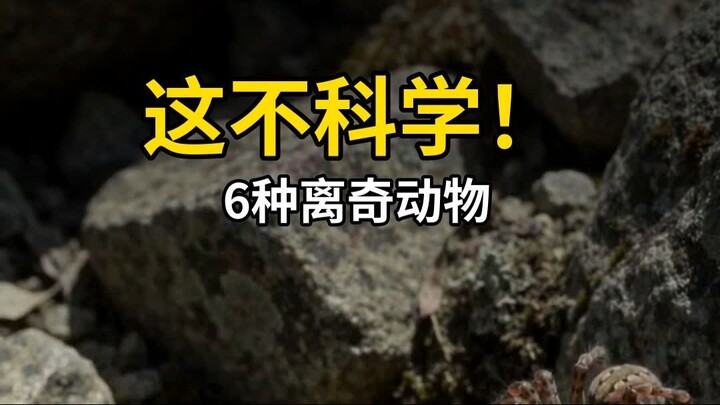 6种"不应该存在"的动物，竟然都是真实的！😱🌿