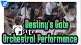 [Destiny's Gate] [Hong Kong Fan Orchestra] Gate of Steiner - Orchestral Performance_2