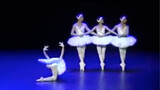 [Funny reverse ballet] Four little swans, three belts and one