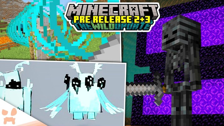 Secret Leak, Warden Buff, Portal Farms, + More! | Minecraft 1.19 Pre Release 2, 3, + News!