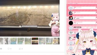 51带琥珀老师去旅游，粉丝分享神p图，这一定是anti吧！