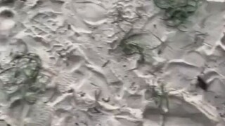kamu ditangkap karna kamu YOAIMO