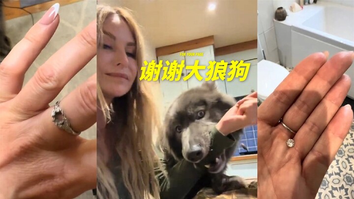 Saya kehilangan berlian yang ditinggalkan ibu untuk saya, siapa sangka anjing serigala peliharaan ka