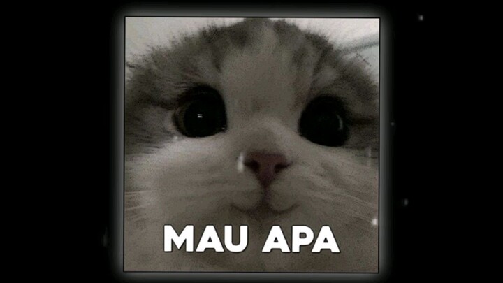 yang liat ini wajib tonton