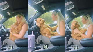 في عيني صاحبه، الكلب دائمًا طفل صغير