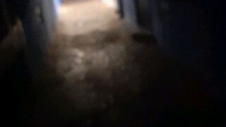 pov