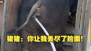 จูจู: คุณทำให้ฉันเสียหน้าหมดแล้ว!