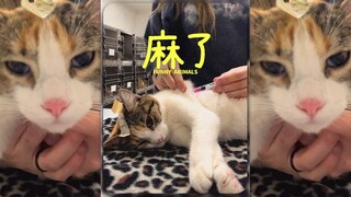 เธอคอยดูนะ‼️