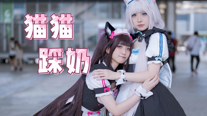 【猫娘乐园】你的猫也这样吗？