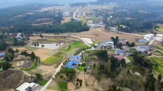🧺𝟳𝙞𝙉𝙀碎碎念:人生就是一场巨大的塞翁失马焉知非福