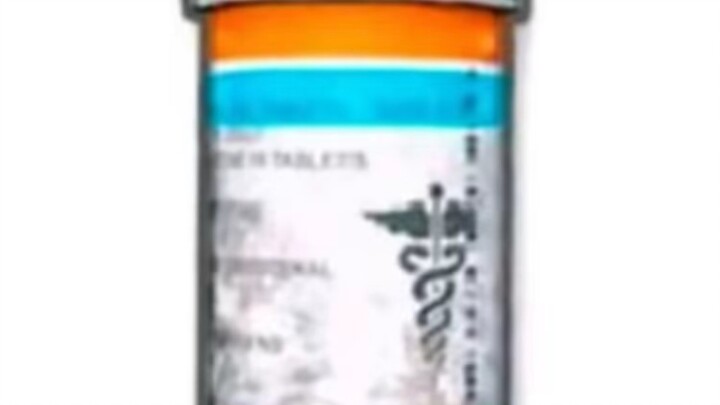 “หมาที่พูดภาษากวางตุ้งได้”