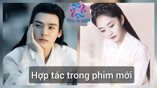 Đàm Tùng Vận kết hợp với Cung Tuấn Trong Phim mới