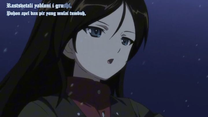 NEMU DOKSLI KATYUSA COY