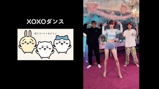 رقصة تيك توك تشياكاوا (مع مقارنة)