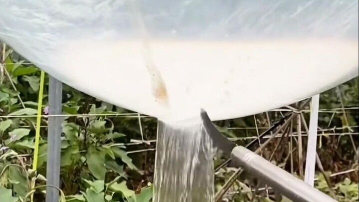 คลายเครียดที่สถานที่ทำงาน! 1.20