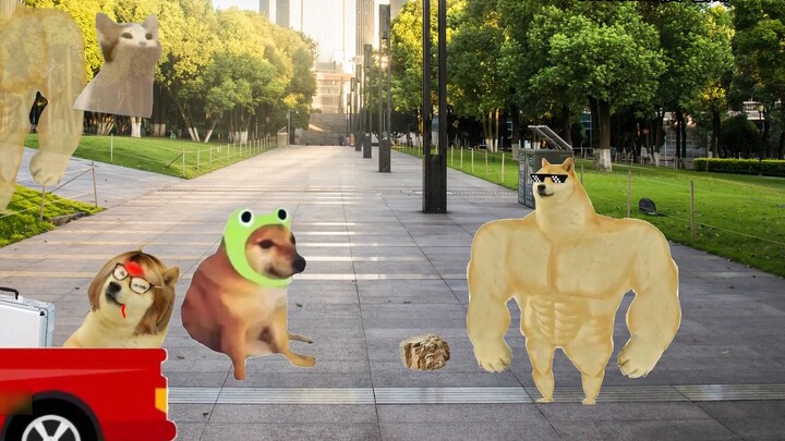 Gửi Phật về phương Tây