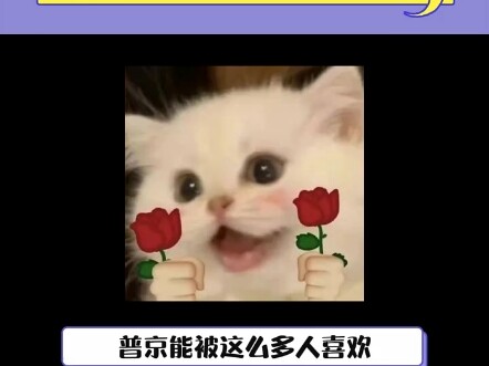 ก็บอกมาสิ ปูตินผู้ยิ่งใหญ่น่ารักไหม!