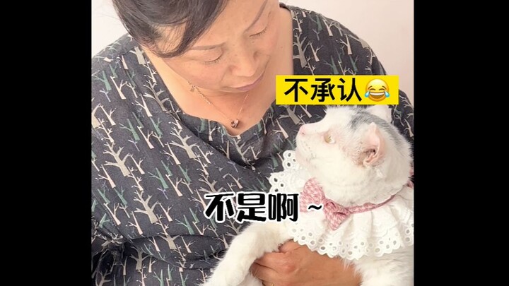 Selir Kesayangan: Aku bukan siswa yang lolos dari pendidikan berkualitas... 😂