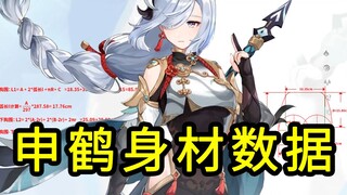 【Too detailed, don't scroll if you're not into it】I calculated Shenhe's body measurements—No. 1 on B