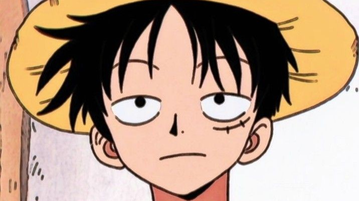 for fun//being obsessed with luffy