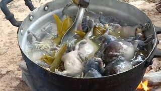 Món ngon Canh chua Ểnh Ương | Đặc sản của người dân campuchia