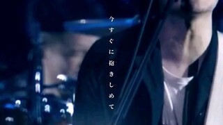Back Number - Happy end Lyrics MV shorts