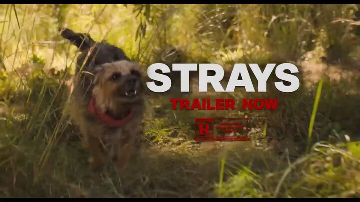 STRAYS Red Band "Watch Full Movie: Link Description"