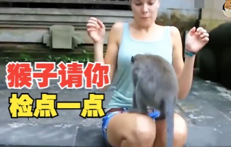 So it turns out monkeys are really good at getting by!