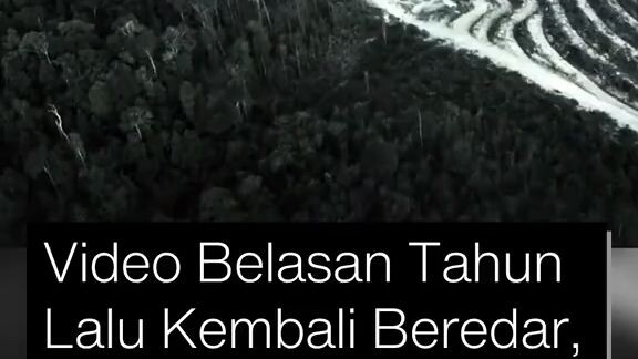 “Tesso Nilo di Mata Harrison Ford: Hutan yang Hampir Hilang”