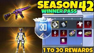 Pubg Lite Season 42 Winner Pass | 1 To 30 Rewards 😍 | Season 42 Winner Pass Pubg Lite | Season 42 Wp