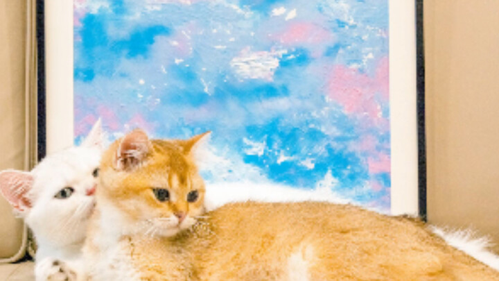 Mấy em mèo còn có khiếu nghệ thuật hơn cả mình… cái tranh này đẹp quá đi mất!