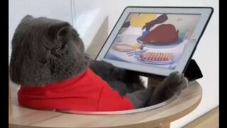 ก๊าาาาาก