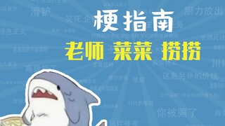 老师，菜菜，捞捞是什么梗【梗指南】