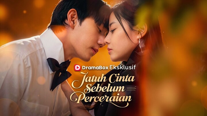 Jatuh Cinta Sebelum Perceraian Full Bahasa Indonesia (DB)