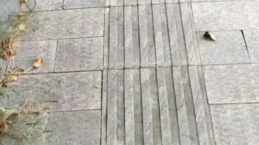 งานก่อสร้างทางเดินคนตาบอดดันพาคนตกท่อไปเลย!