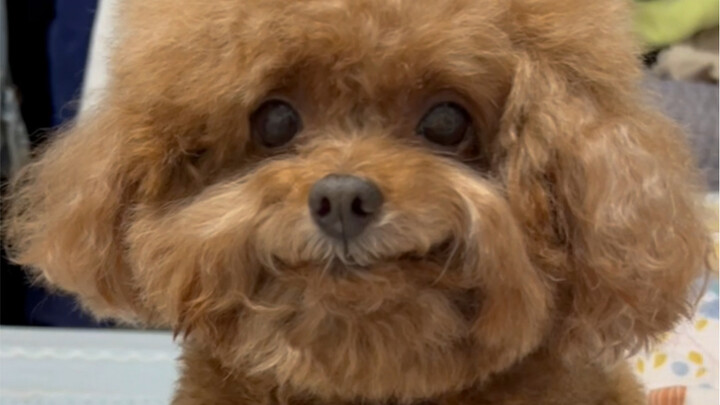 I heard you really hate Teddy bears???