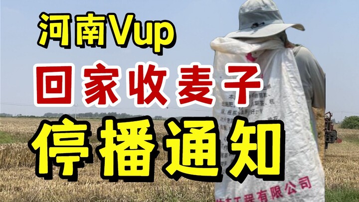 【Thông báo ngừng phát】Vup Hà Nam chúng tôi là thế, dù ngừng phát cũng phải về nhà gặt lúa mì đấy!