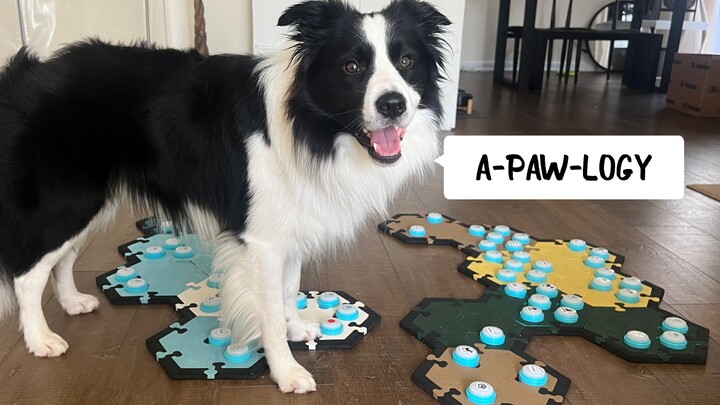 Anak anjing Bun menciptakan kata baru: A-paw-logy