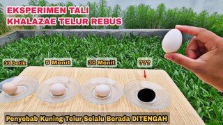 EKSPERIMEN: TALI KHALAZAE YANG MEMBUAT KUNING TELUR TETAP BERADA DITENGAH