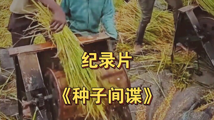 Bộ phim tài liệu quy mô lớn "Gián điệp hạt giống"