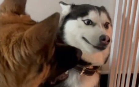 “Eyes Glinting with Malice”