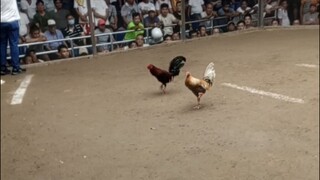 Buyogin for the win💪🏻Huleee!