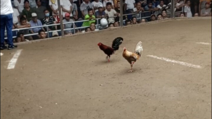 Buyogin for the win💪🏻Huleee!