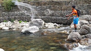 Cast Net Fishing in Small River of Nepal | Himalayan Trout Fishing | Cast Netting | Asala Fishing |