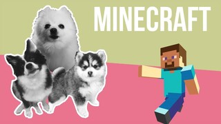 Minecraft but it's Doggos and Gabe