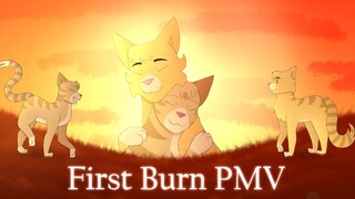 | First Burn | Four Trees [Warrior Cats OCs] | Pine and Dew PMV |
