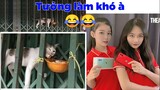 "Treo chỗ nào khó hơn đi"  Mèo said - Top bình luận hài bá đạo trên Face Book.