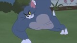 [AMV]Khi Tom trở nên rất tự giác trong <Tom và Jerry>