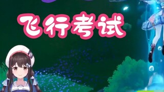 [shourei Xiao N] มือใหม่เลเวล 59 รีวิวการทดสอบการบิน