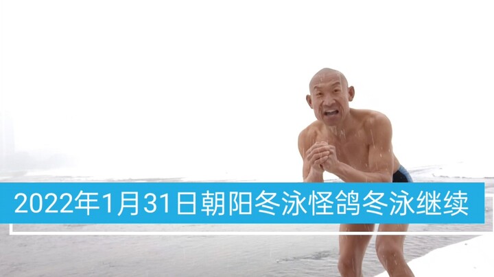 冬泳健身有危险！请勿模仿！2022年1月31日朝阳冬泳怪鸽冬泳继续！让我们一起为冬奥助力！坚持就是胜利！奋斗的青春万岁！坚持不懈的青春万岁！加油！奥利给！哈哈哈